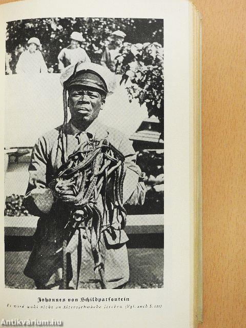 Schlangen (gótbetűs)