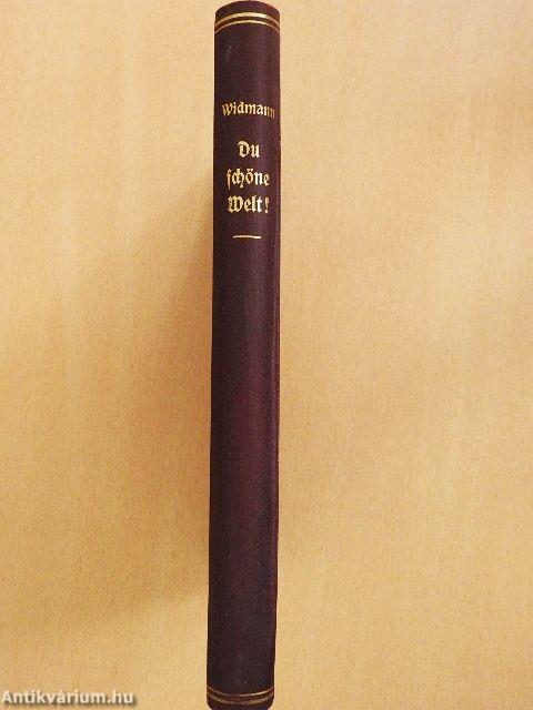 Du schöne Welt! (gótbetűs)