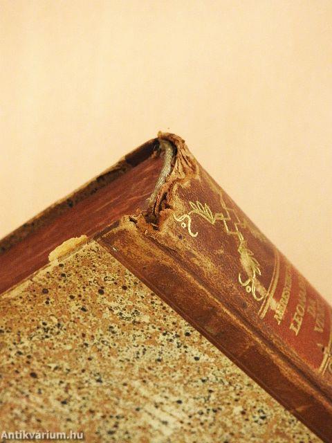 Leonardo da Vinci I-II. (gótbetűs)