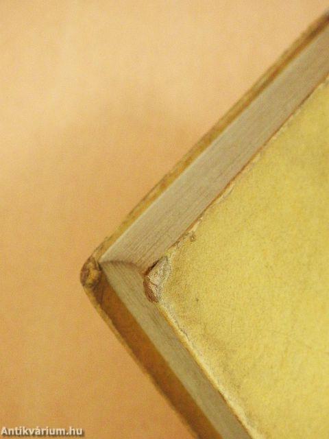 Niels Lyhne (gótbetűs)