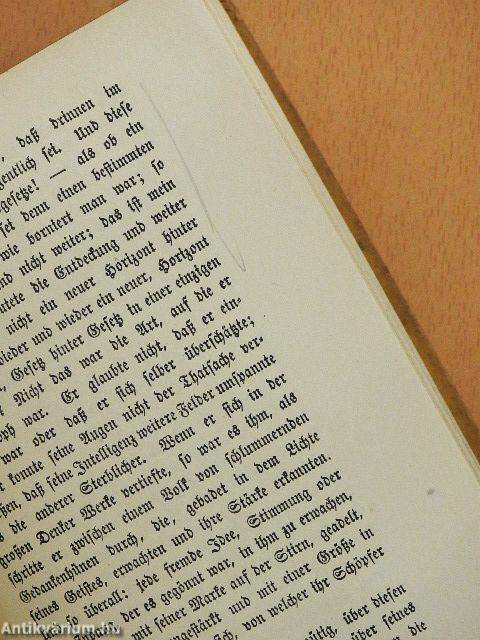 Niels Lyhne (gótbetűs)