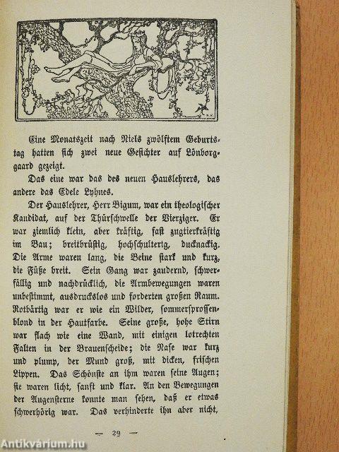 Niels Lyhne (gótbetűs)