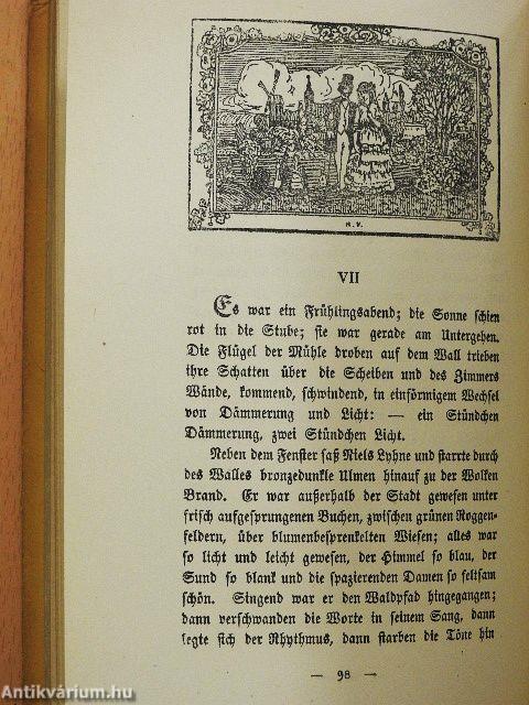 Niels Lyhne (gótbetűs)