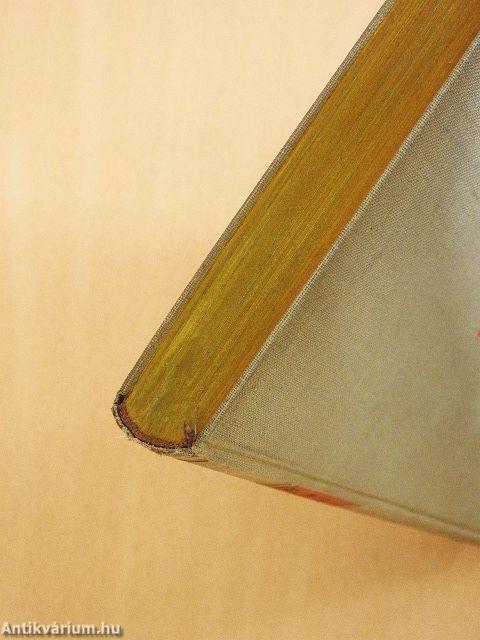 Die Chronik der Sperlingsgasse (gótbetűs)