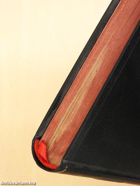 Die Heilige Schrift (gótbetűs)