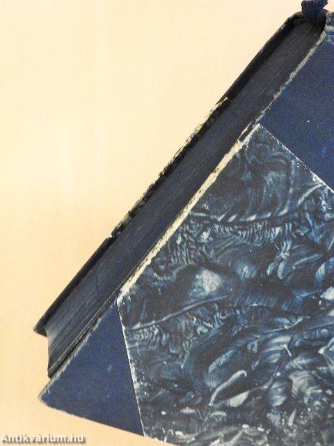 Heinrich Heine und Napoleon I. (gótbetűs)