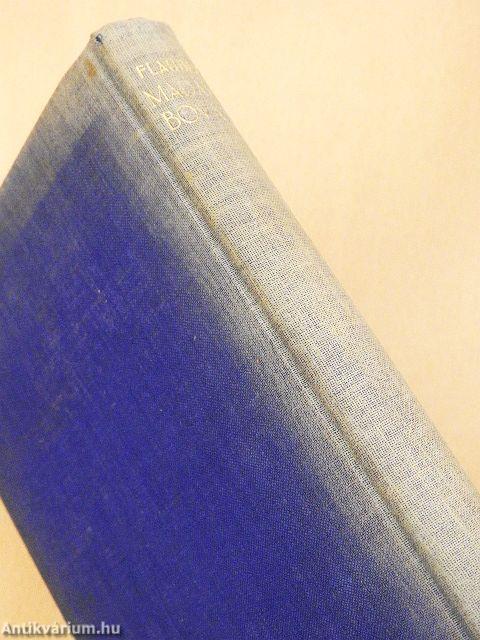 Madame Bovary (gótbetűs)