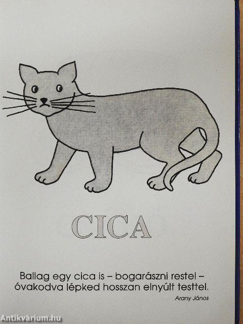 Larousse lexikon a legkisebbeknek