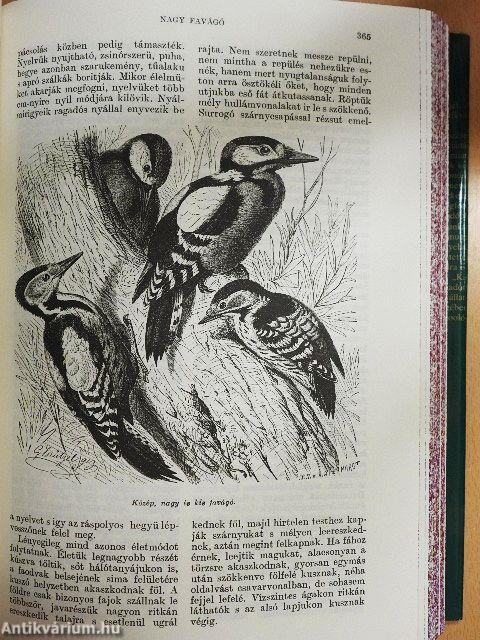 Brehm - Az állatok világa