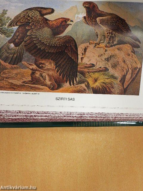 Brehm - Az állatok világa