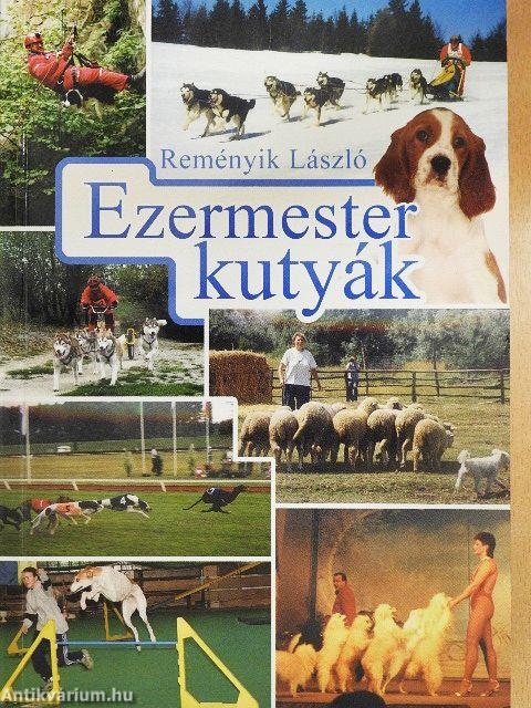 Ezermester kutyák