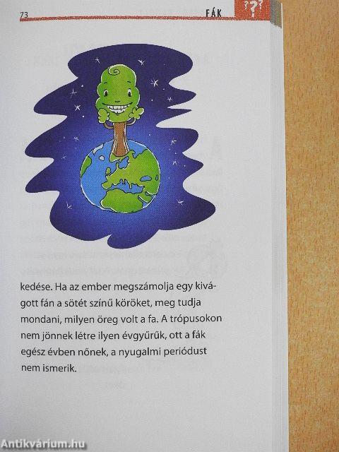 Hogyan kerülnek a lyukak a sajtba?