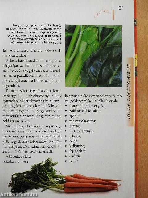 A nélkülözhetetlen vitaminok