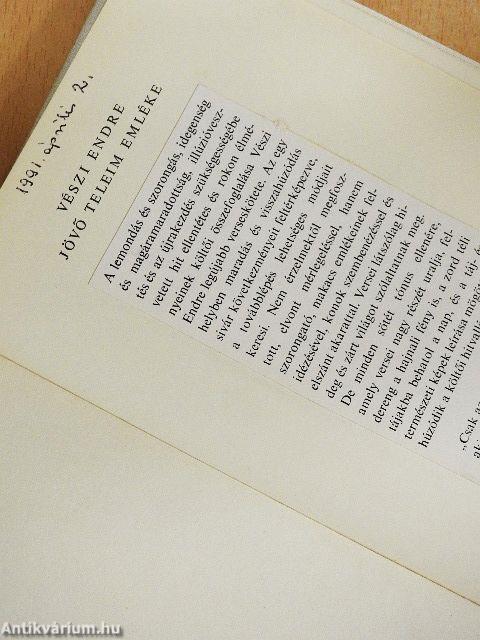 Jövő teleim emléke