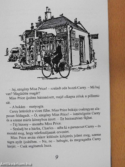 Rézgomb és seprűnyél