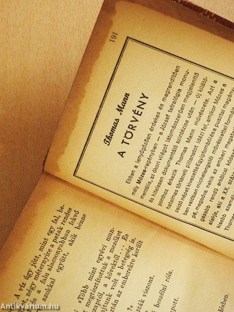 Rémület a hegyek között