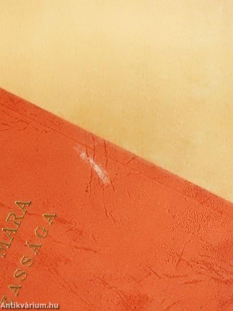 Szűts Mara házassága