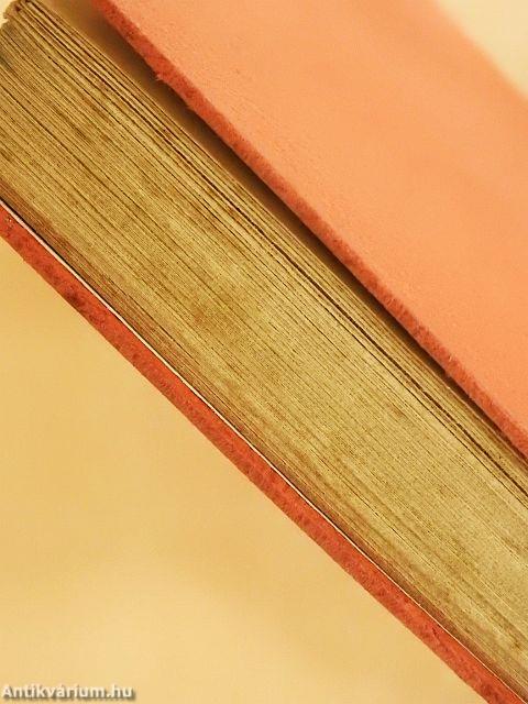 Szűts Mara házassága