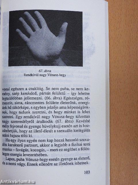 A szerelem kézvonalai