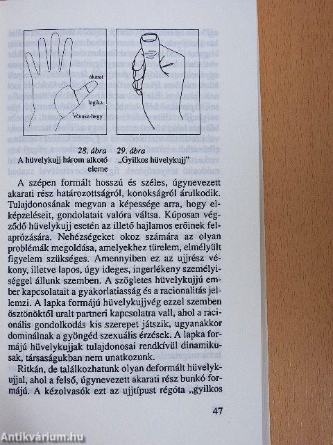 A szerelem kézvonalai