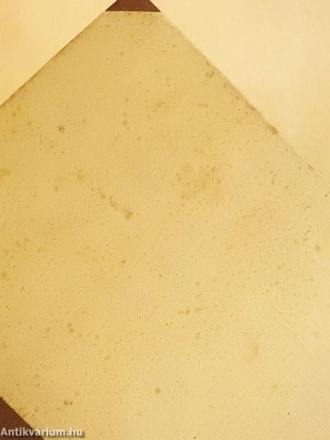 Amit a képesített iparosnak tudni kell közigazgatási ismeretek köréből