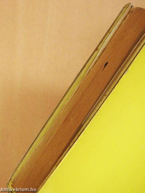 Az Orinoco folyónál