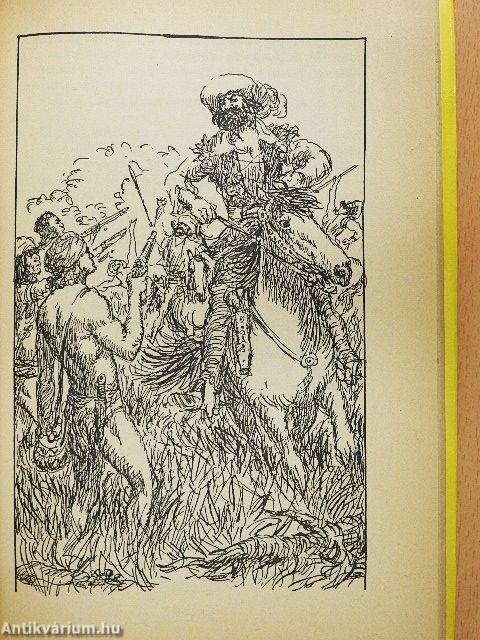 Az Orinoco folyónál