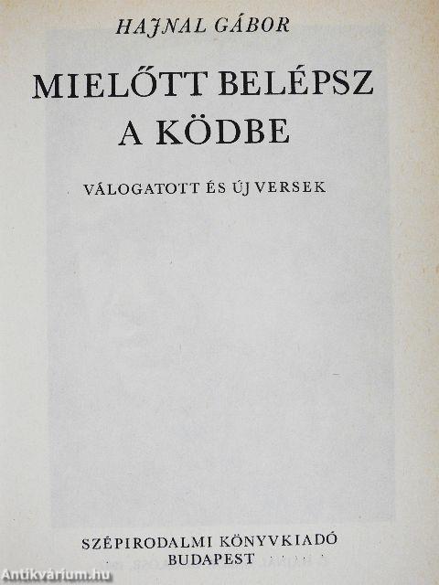 Mielőtt belépsz a ködbe