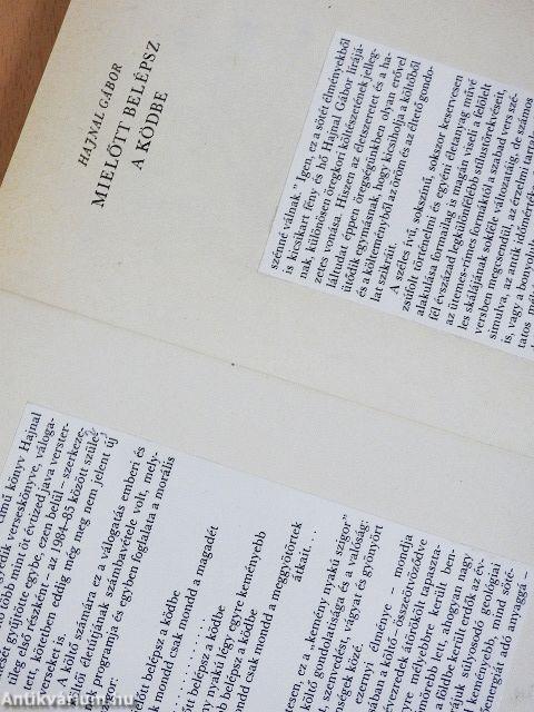 Mielőtt belépsz a ködbe