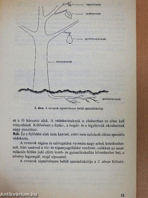 Környezetkímélő növényvédelem a házikertben
