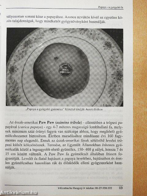 Papaya - a gyógyító fa
