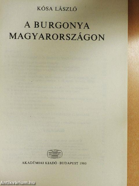 A burgonya Magyarországon