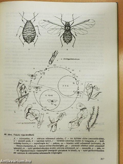 Szántóföldi növényvédelem