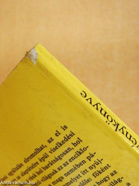 Murphy törvénykönyve, avagy miért romlik el minden?