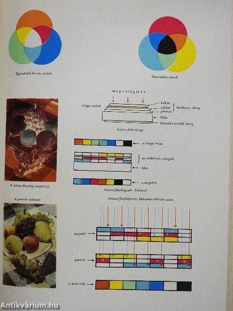 A kultúra világa - A technika fejlődése