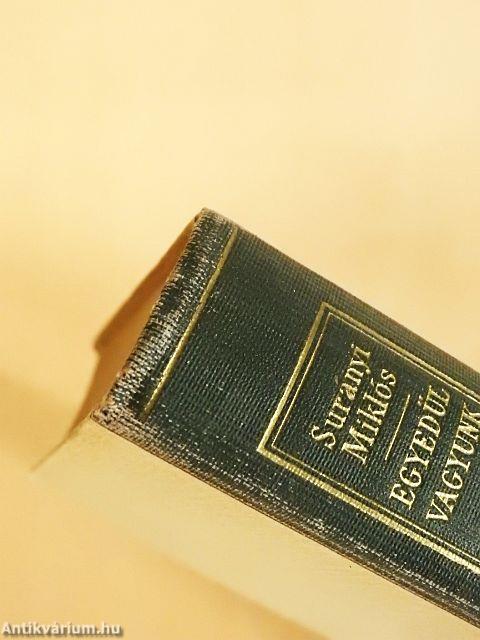 Egyedül vagyunk I-III.