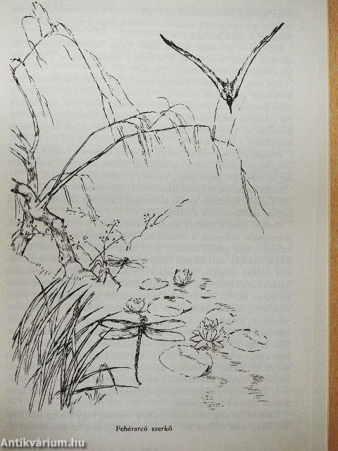 Madárdal erdőn-mezőn