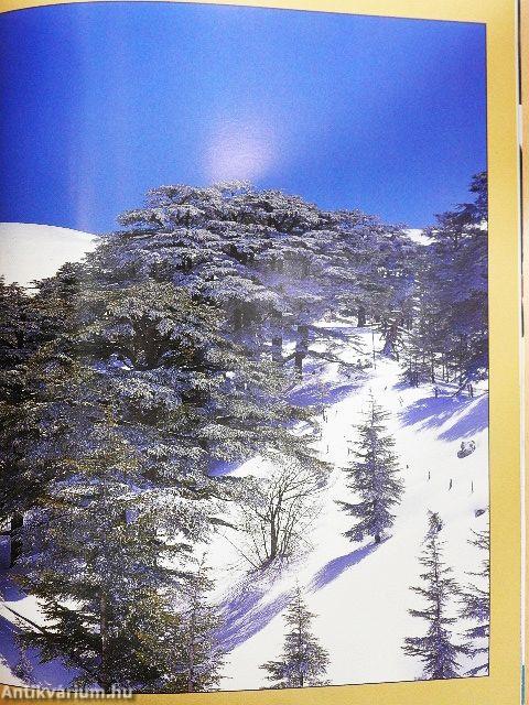 World Heritage May 2001