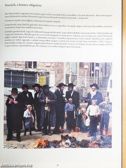 A törvények őrzői