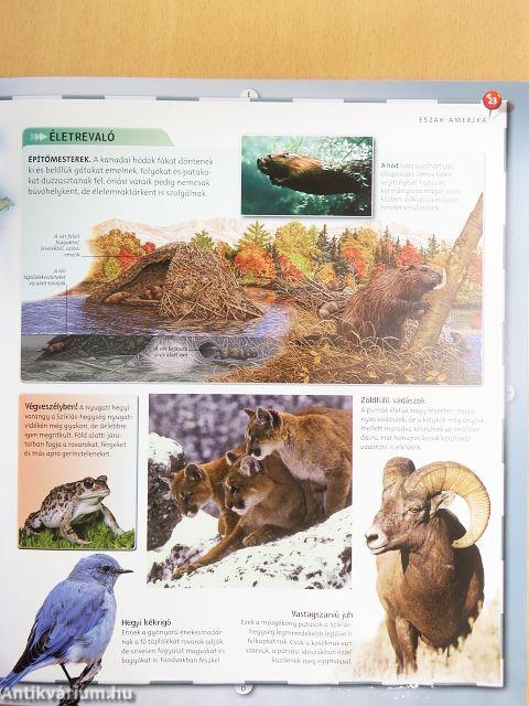 Az állatvilág atlasza