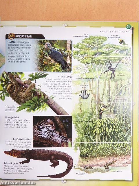 Az állatvilág atlasza