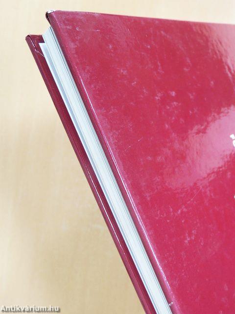 Nagykanizsa Európában