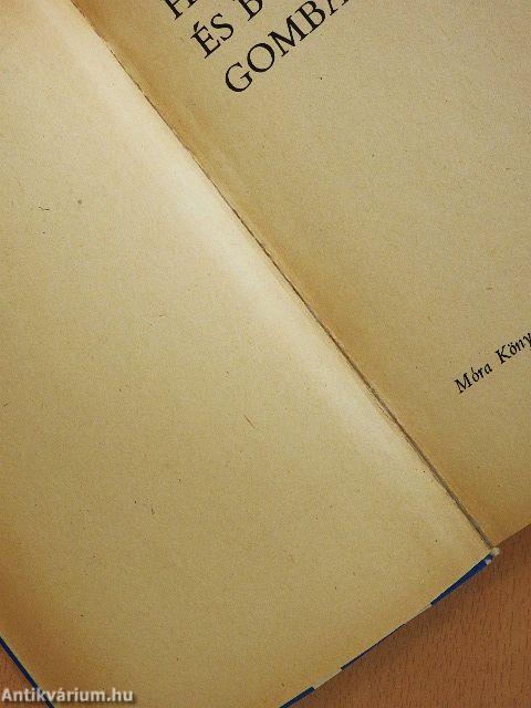 Hajszesz és bolondgomba