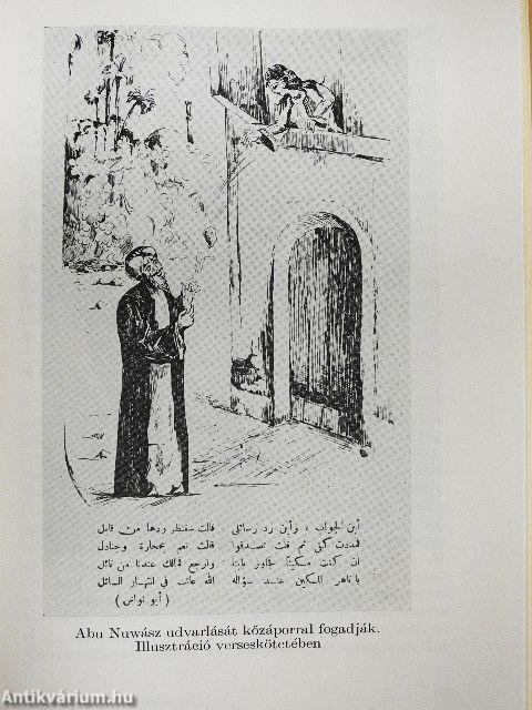 Az arab irodalom története