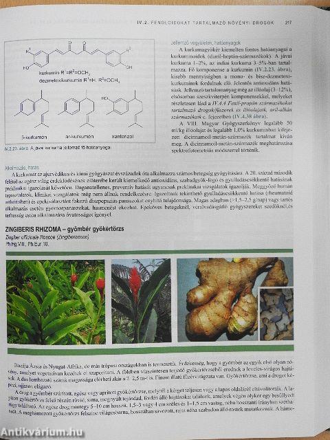 Gyógynövénytől a gyógyításig