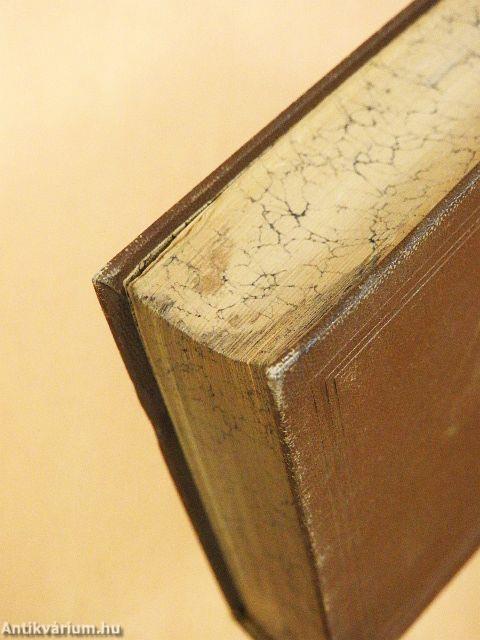 Dante Alighieri's Göttliche Komödie (gótbetűs)