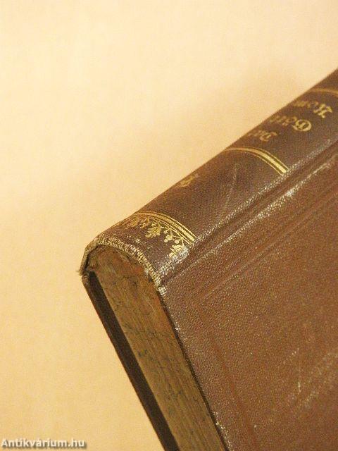 Dante Alighieri's Göttliche Komödie (gótbetűs)