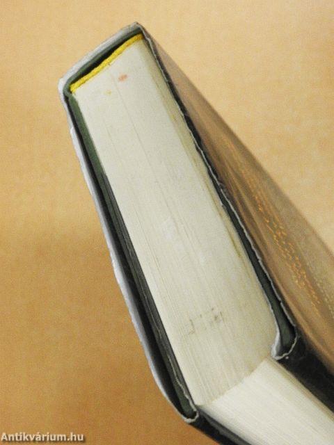 Lebe deine Göttlichkeit!