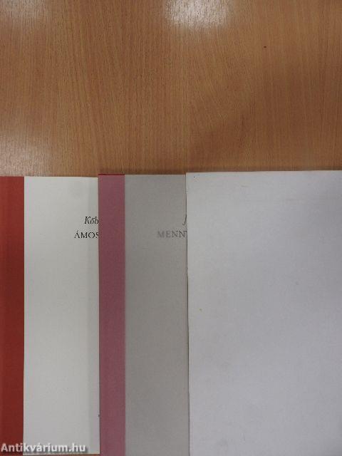 János apostolnak mennyei jelenésekről való könyve/Ámos jelenései