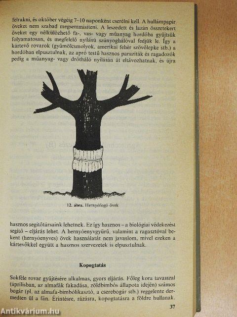 Környezetkímélő növényvédelem a házikertben